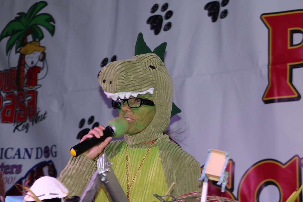 Pet Masquerade 2017 photo - Duval Street, Key West